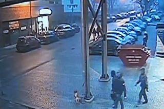 Zabrze: Napad na wolontariusza WOŚP