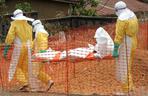 epidemia, wirus, ebola