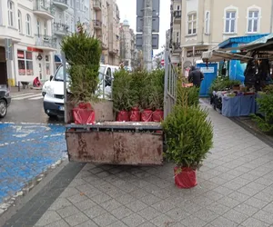 Blisko 400 świątecznych drzewek ozdobiło poznańskie ulice!