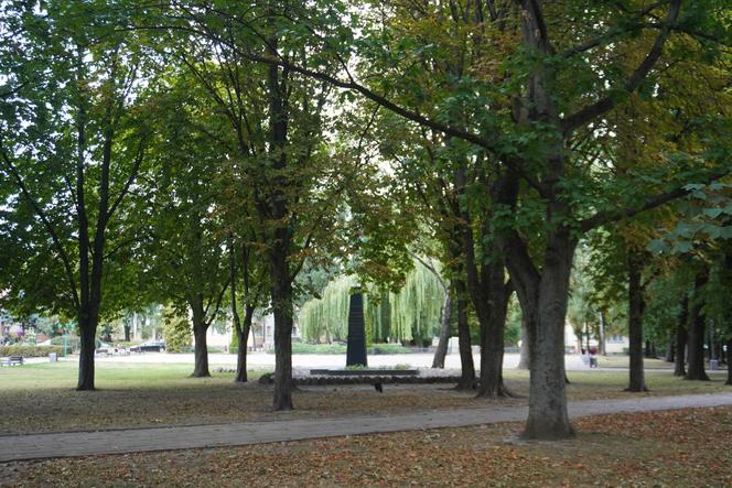 Plac Mordechaja Tenenbauma. To część Skweru przy Żabiej w Białymstoku