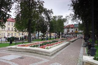 4. Powiat niżański 