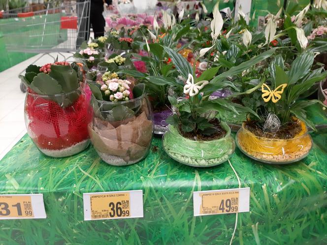 Ceny kwiatów na Dzień Kobiet w popularnych marketach 