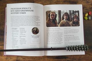 Harry Potter nowa książka ze świata J.K.Rowling! Mamy zdjęcia ze środka! [ZDJĘCIA]