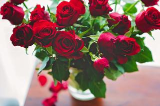 Jak dbać o róże w wazonie? Co zrobić, aby róże długo stały w wazonie? Są na to sposoby!