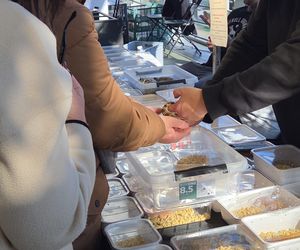 Węże, pająki i dreszczyk emocji w Bydgoszczy! Dragon Expo zachwyciło odwiedzających