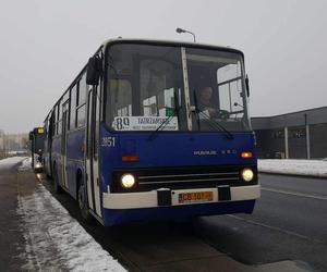 Kryzys w komunikacji miejskiej? Nie dla wszystkich! Bydgoszczanie zachwyceni starymi ikarusami. Dają radę! 