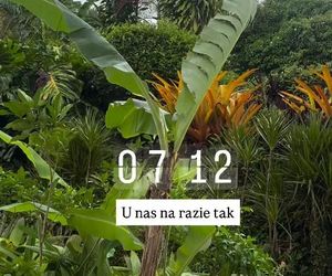 Aleksandra Żebrowska