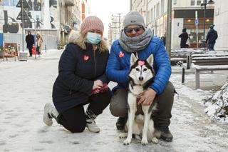 Wielka Orkiestra Świątecznej Pomocy we Wrocławiu
