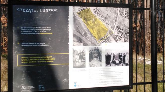 Cmentarz Żydowski na Bródnie nie stanie się w całości parkiem. Historyczna część zostanie ogrodzona! 