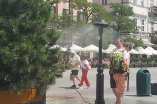 Lato w Krakowie. Jak wygląda miasto w czasie upałów?