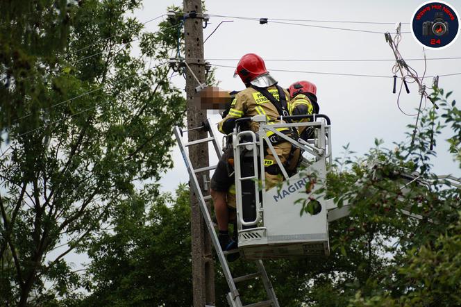 W miejscowości Głosków doszło do śmiertelnego porażenia prądem
