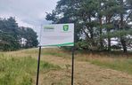 Akcja na polu, gdzie znaleziono Wampirkę z Pnia. Młodzi chodzili z detektorami, niedługo wracają tam archeolodzy