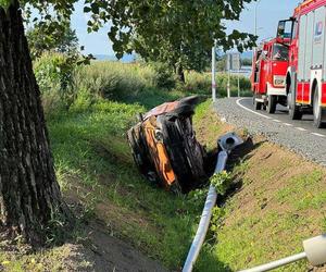 Kot spowodował wypadek samochodu na drodze. Stracił panowanie nad kierownicą