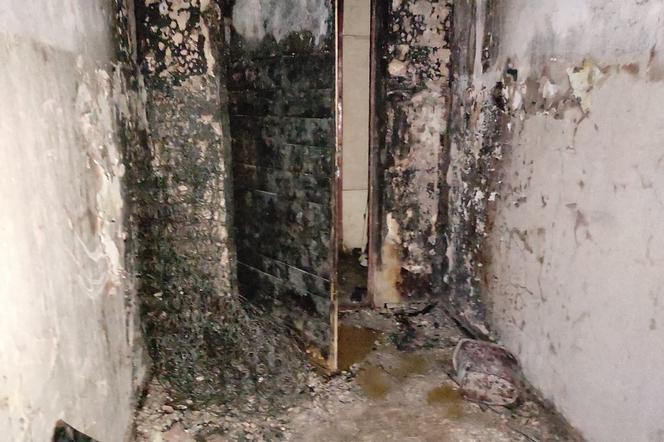  Podpalono drzwi do mieszkania, w którym przebywały 4 osoby