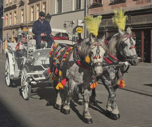 To miasto w Małopolsce jest nazywane Barceloną Południa. Mało kto wie, że jest większe od hiszpańskiego hitu turystycznego 