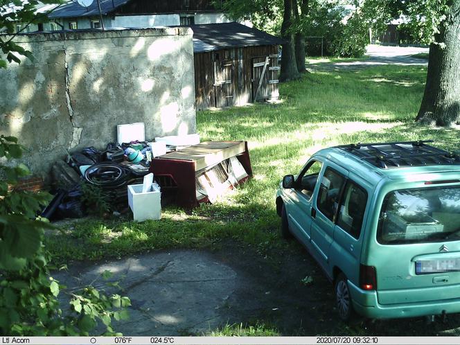 Pabianice. Myśleli, że pozostaną bezkarni. Straż miejska postawiła fotopułapkę