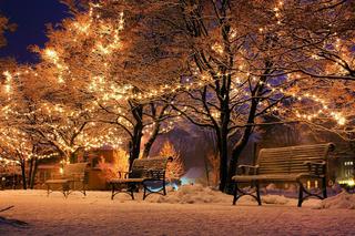Boże Narodzenie 2021 - tradycje w Polsce i innych krajach. To musisz wiedzieć!