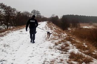 Słubice: 15-latek uciekł z domu... bo pokłócił się z matką o oceny