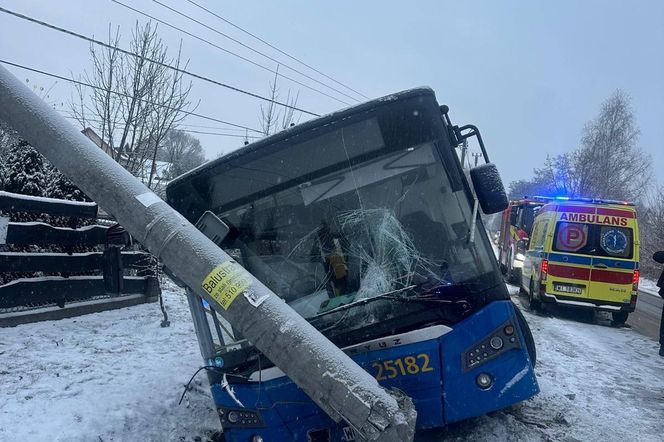 Autobus uderzył w słup (22.11.2024)