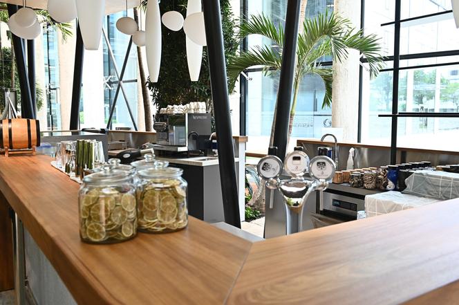 Ogród botaniczny wśród wieżowców