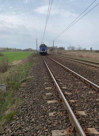 Przy torach kolejowych leżał ranny jeleń