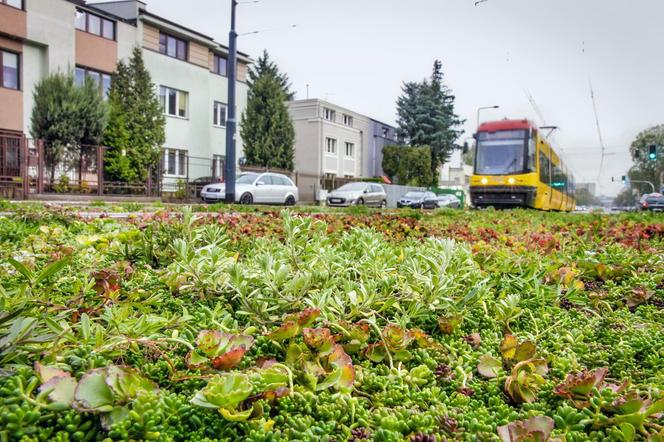 Tory tramwajowe w Warszawie pachną włoską pizzą