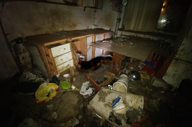 Horror w Tarczynie. Piwnica jak sala tortur