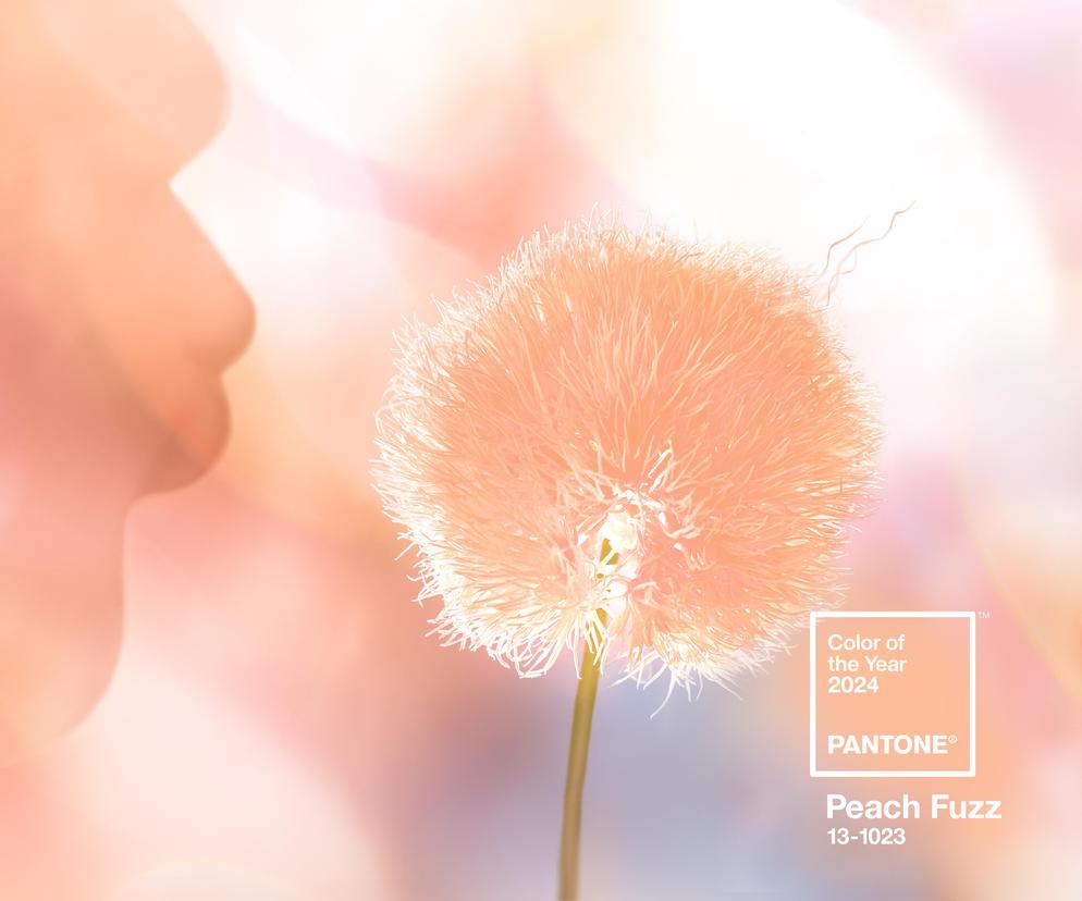 Kolor Roku 2024 Instytutu Pantone