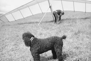 Wakacje w Bieszczadach na starych fotografiach. Tak kiedyś spędzano urlopy