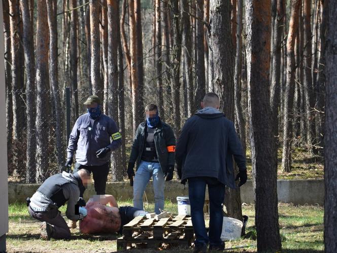 Szaleniec z Zielonki złapany. Już nikogo igłą nie ukłuje. Do akcji wkroczyli antyterroryści