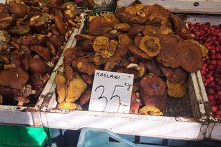 Ceny grzybów 2024 w Krakowie