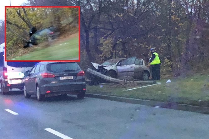 POTWORNA kraksa w Radomiu. Kierowca Renault wypadł z drogi i WYGRZMOCIŁ w drzewo