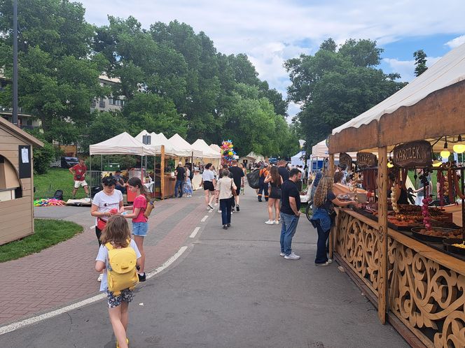 Smoczy Piknik Rodzinny 2025 w Krakowie