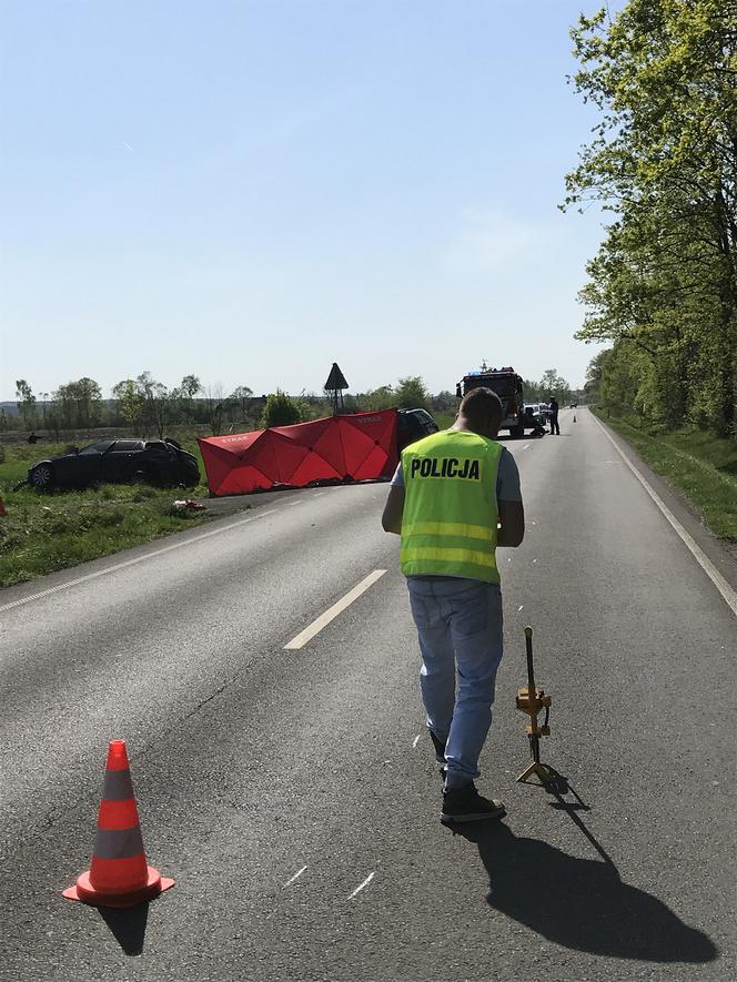 Tragiczny w skutkach wypadek w Ameryczce. Nie żyją 4 osoby!