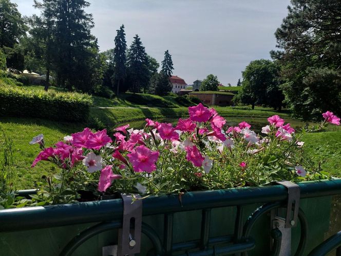 Park Miejski w Zamościu