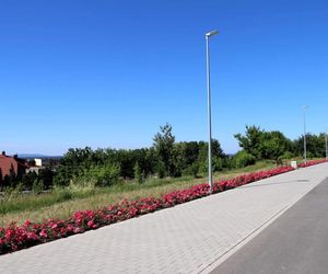 Starachowice. To najbardziej ukwiecone miasto świętokrzyskiego