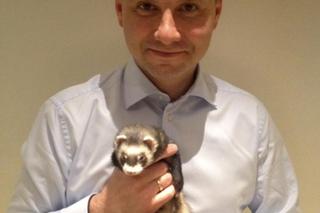 Andrzej Duda z fretką