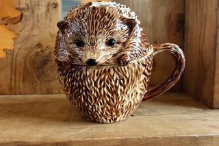 Jesienne dekoracje do kuchni - Home&you