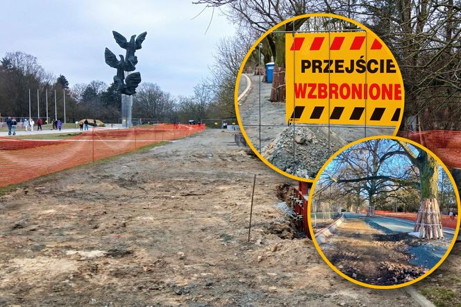 Przebudowa alei Fałata w Parku Kasprowicza