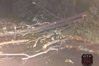 Blisko 20 zerwanych dachów po nocnych burzach w Małopolsce. Strażacy interweniowali ponad 400 razy