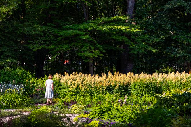 7 najładniejszych ogrodów botanicznych w Polsce. Kiedy je odwiedzić i gdzie są?