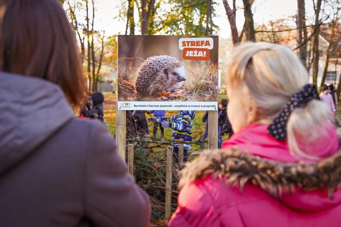 Strefa jeża w Witnicy