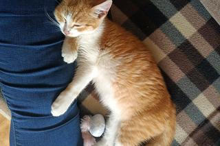 Poznajcie zwierzaków naszych Czytelników!