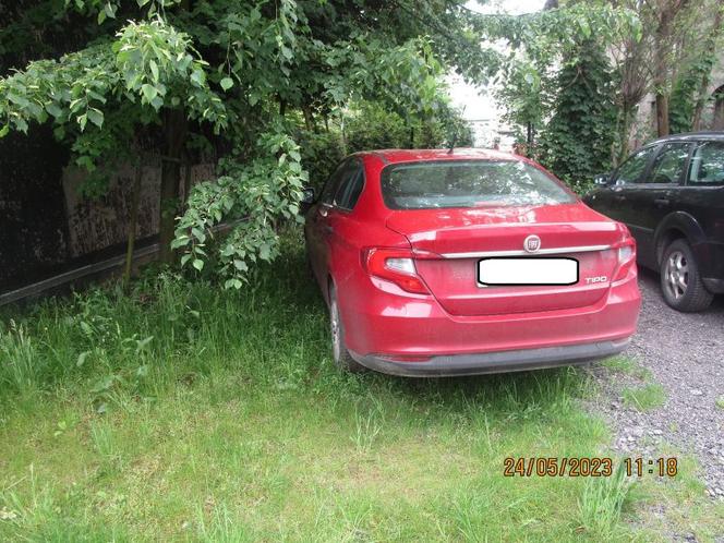 "Najlepsi" kierowcy są w Katowicach. A jak świetnie parkują! I jeszcze są potem zdziwieni mandatami