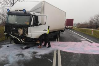 Horror na drodze niedaleko Torunia. Apel do świadków!