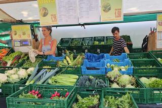 Ceny warzyw i owoców w Holandii mogą zaskoczyć Polaków [GALERIA, WIDEO]