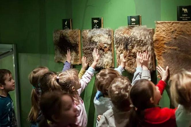 Muzeum Górnośląskie w Bytomiu