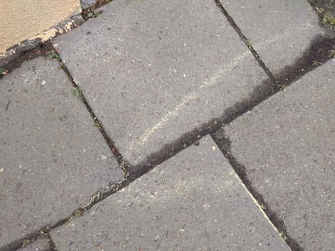 Żółty pył na ulicach Tarnowa. Czy jest groźny dla zdrowia?
