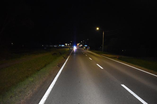 Ukrainiec popełnił fatalny błąd za kierownicą i spowodował śmiertelny wypadek. Tragedia w Dobczycach