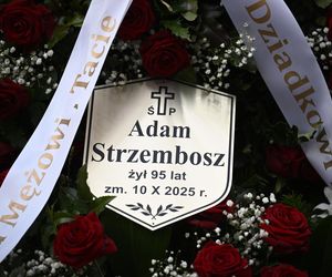 Grób prof. Adama Strzembosza